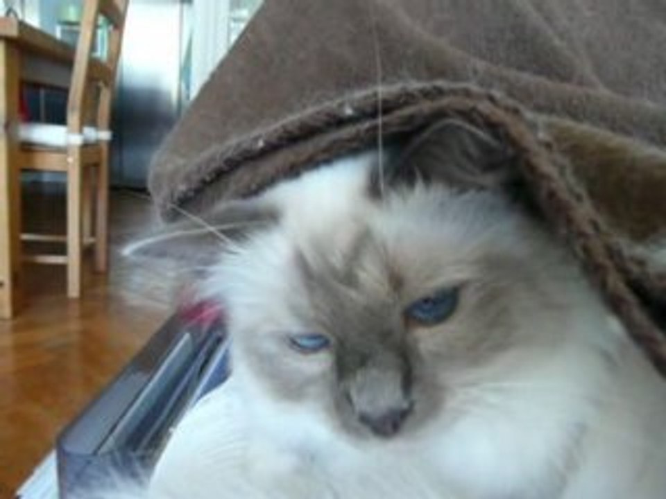 dodo à deux c'est encore mieux