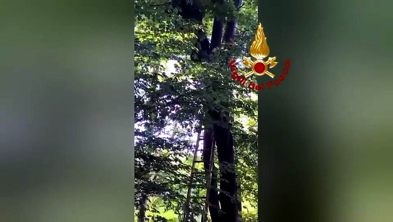 WhatsApp Video 2026-05-21 At 20.03.43