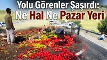 Ne Manav Ne Hal: Sebzeler Asfalta Taştı!