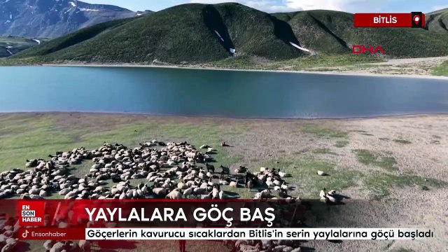 Bitlis'te göçerlerin kavurucu sıcaklardan Bitlis'in serin yaylalarına göçü başladı