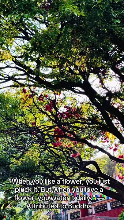 Beautiful Nature