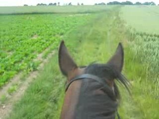Balade le 18 juin 2008 chemin