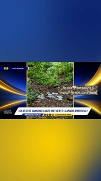 Silvestre Dangond hizo un llamado ambiental