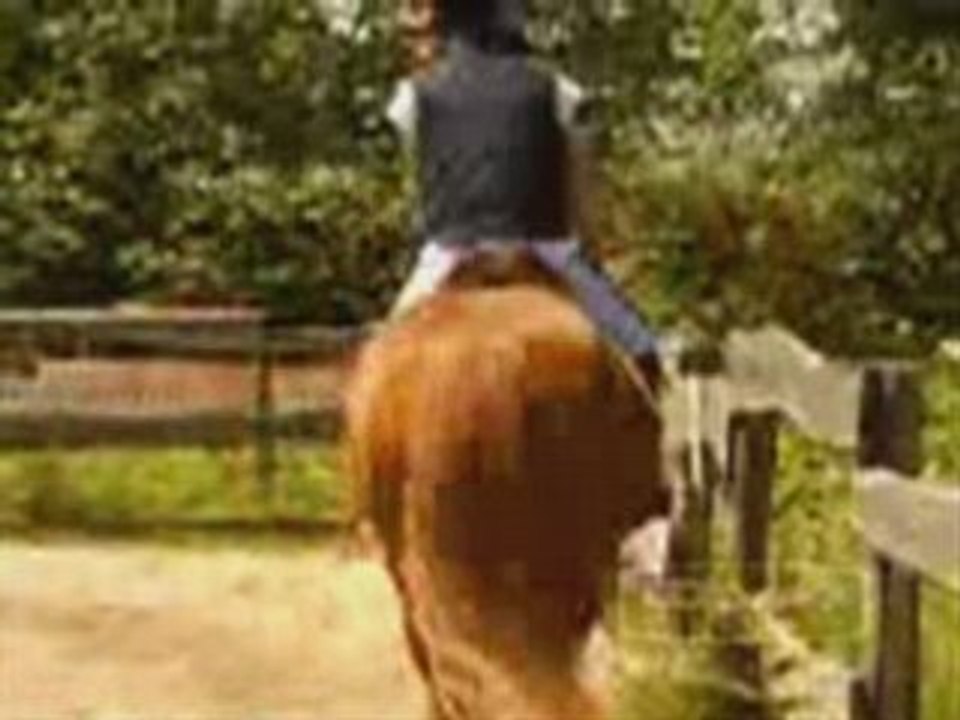 Mercredi 18 Juin cours de saut avec Chiccos