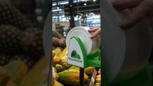 Pão de Açúcar fecha acordo para recuperação extrajudicial | Giro VEJA