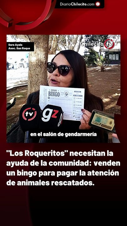 "Los Roqueritos" necesitan la ayuda de la comunidad: venden un bingo para pagar la atención de animales rescatados.