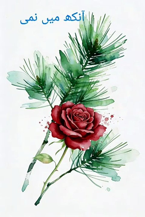 آنکھ میں نمی