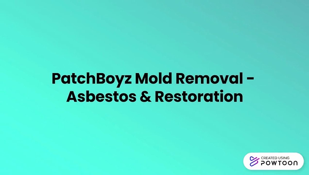 Mould Remediation Ottawa