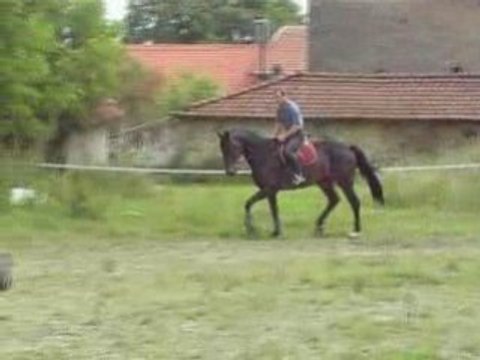 Les écuries de Grimon