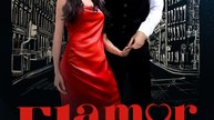 El amor perfecto | Serie Completa (56 eps) HD