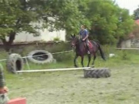 Les écuries de Grimon