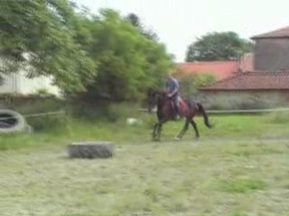 Les écuries de Grimon