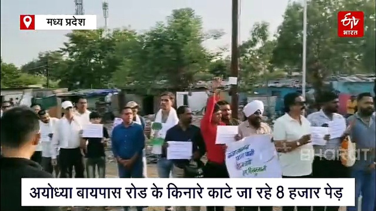 जिस 10 लेन सड़क ने छीनी 8 हजार पेड़ों की सांसे, वहीं बनेगा हरियाली का हाईवे, NHAI करेगा देखरेख