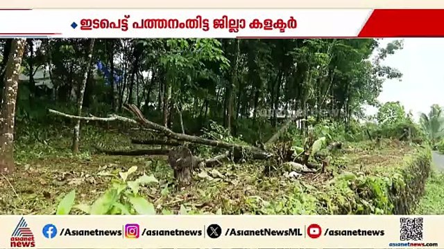 'ടച്ച് വെട്ടിന്റെ പേരിൽ കെഎസ്ഇബിയുടെ മരം മുറി'; ഇടപെട്ട് പത്തനംതിട്ട ജില്ലാ കളക്ടർ