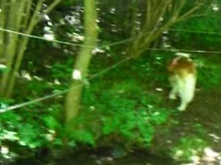 12 papattes à l'eau (2ème)