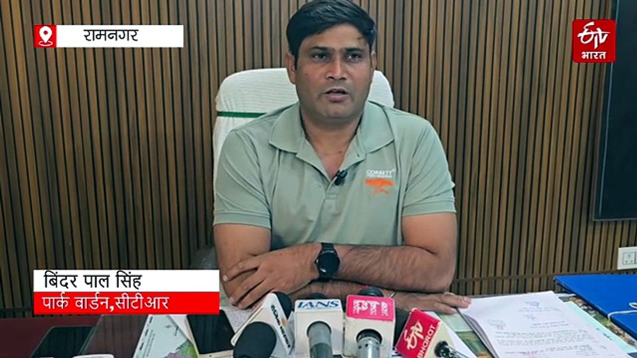 कॉर्बेट गर्जिया जोन में बना अनोखा रिकॉर्ड, सभी पर्यटकों को हुए टाइगर के दीदार, खुशी से झूमे सैलानी