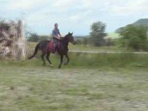 Les écuries de Grimon