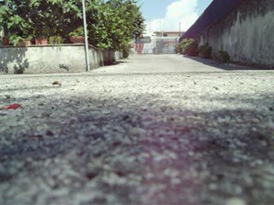 Thunder Tiger ZK2 Frontflips & Run