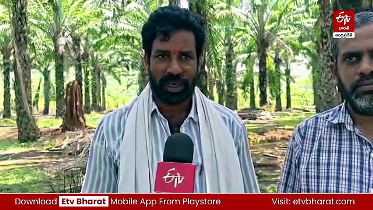 ఏనుగుల వీరంగం - ఇప్పటి వరకు 12 మంది మన్యం వాసుల మృతి