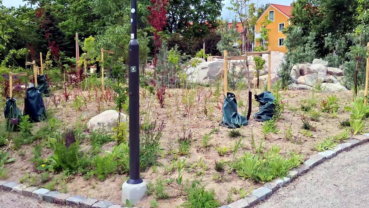Tiden går så fort. Örebro 4 Juni 2026