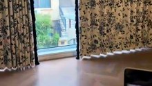 Unexpected Companions: A Tale of an Indoor Chicken and an Outdoors Border Collie