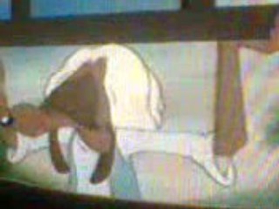 extrait la bande a picsou dijon