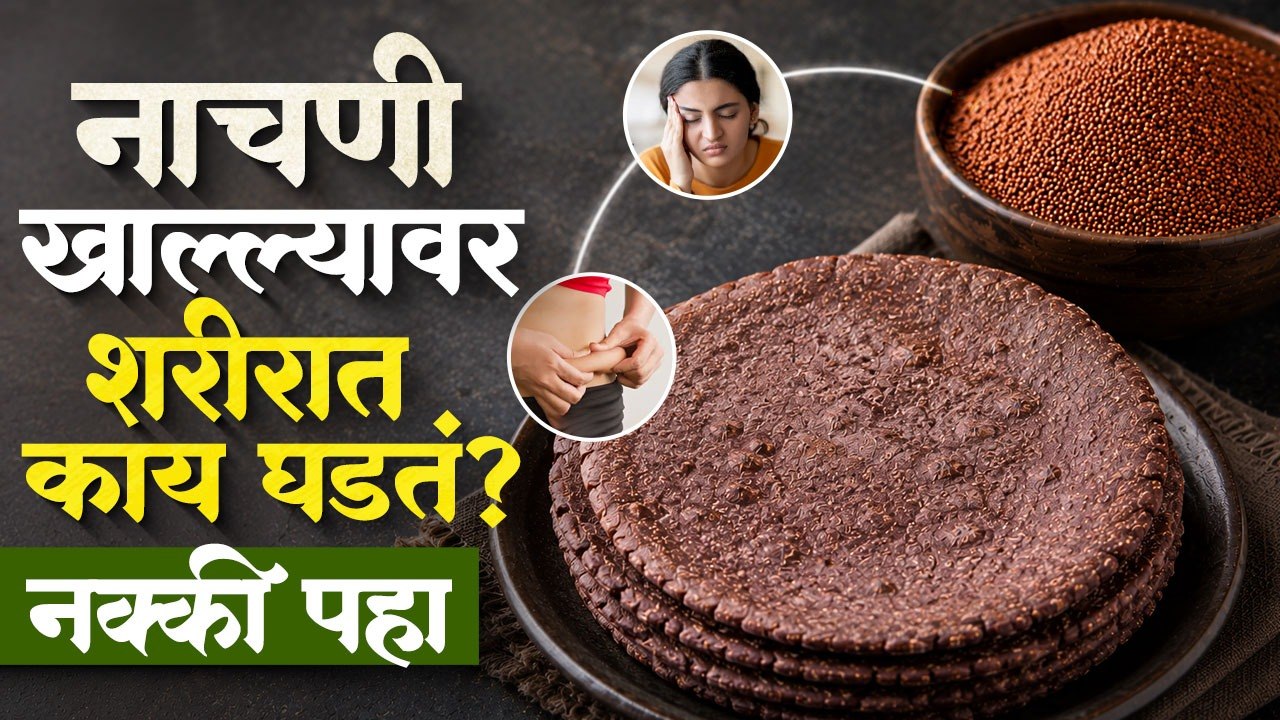 नाचणी खाल्ल्यावर शरीरात काय घडतं? नक्की पहा! What Happens When You Eat Ragi Daily? Nachni