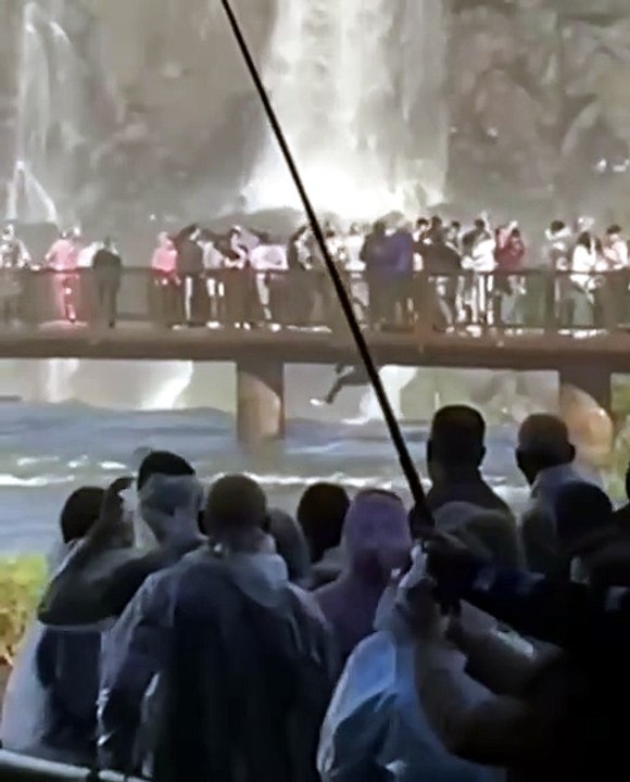 Turista se pendura em passarela e pula para recuperar celular