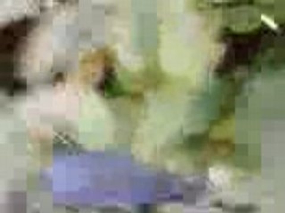 Nbvcxw...,,,2