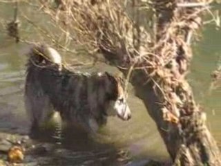 China joue dans l'eau.