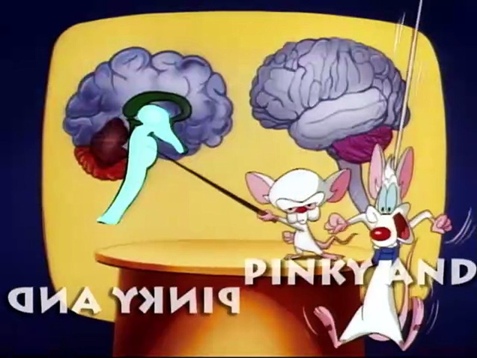 Pinky y Cerebro capitulo 34