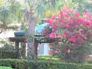 ForRent.com-Vinings at Delray Beach Apartments For Rent ...