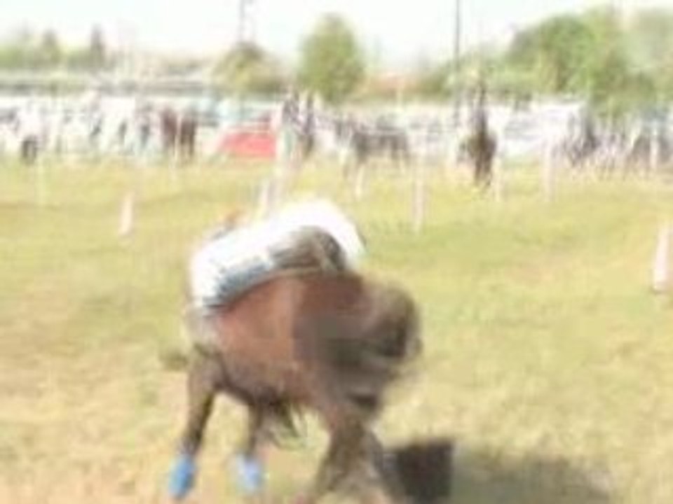 j£u de ball£ £t cOnn£