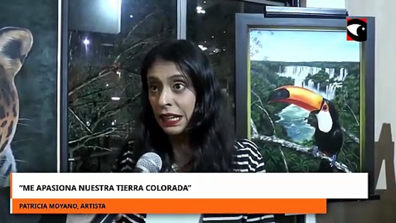 2° Muestra de Arte de Artistas Residentes en Iguazú: “Me apasiona nuestra tierra colorada”