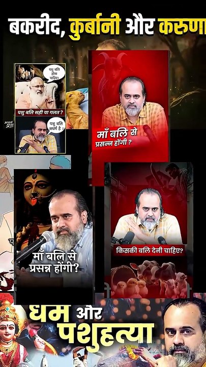 बेगुनाह जानवर || आचार्य प्रशांत