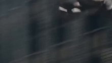 My Honest Review of the First Two Episodes of Spider-Noir