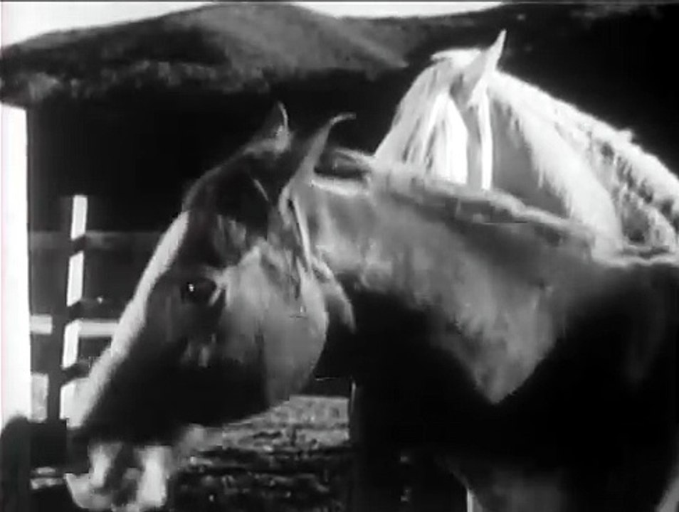 Trigger and the Outlaw Trail (1946)