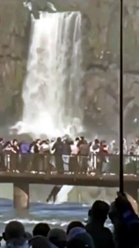 Turista pula nas águas das Cataratas do Iguaçu para recuperar celular caído