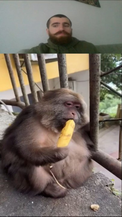 Try not to laugh 😂