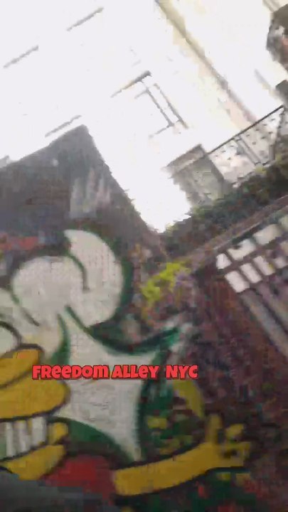 Headed to Freeman Alley, Ran Into Justina Valentine on Spring Street! | Ray Calitri Vlog
