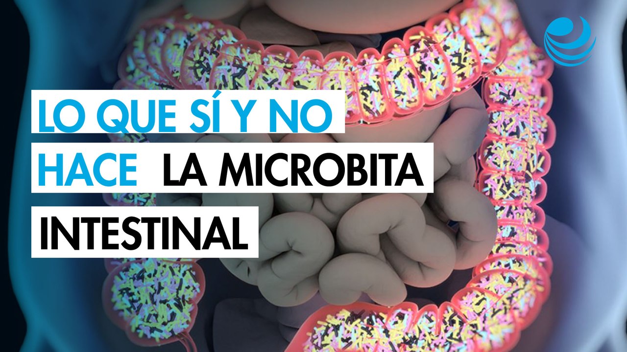 Microbiota: Los mitos que podrían estar afectando tu salud digestiva