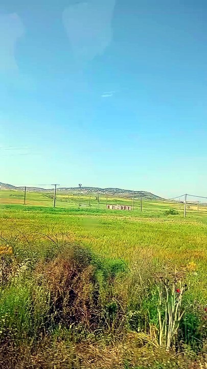 كمثل حبة أنبتت سبع سنابل