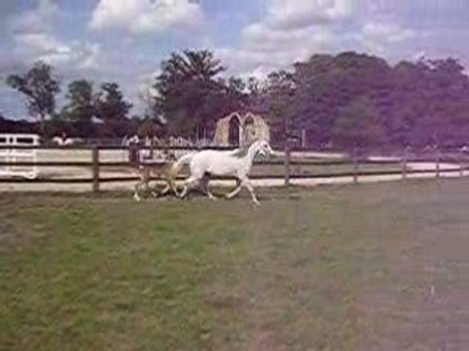 Iroise et Ushuaia en mode arabe V2