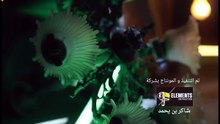 4مسلسل كف ودفوف الحلقة