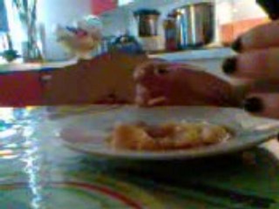 Vidéo003