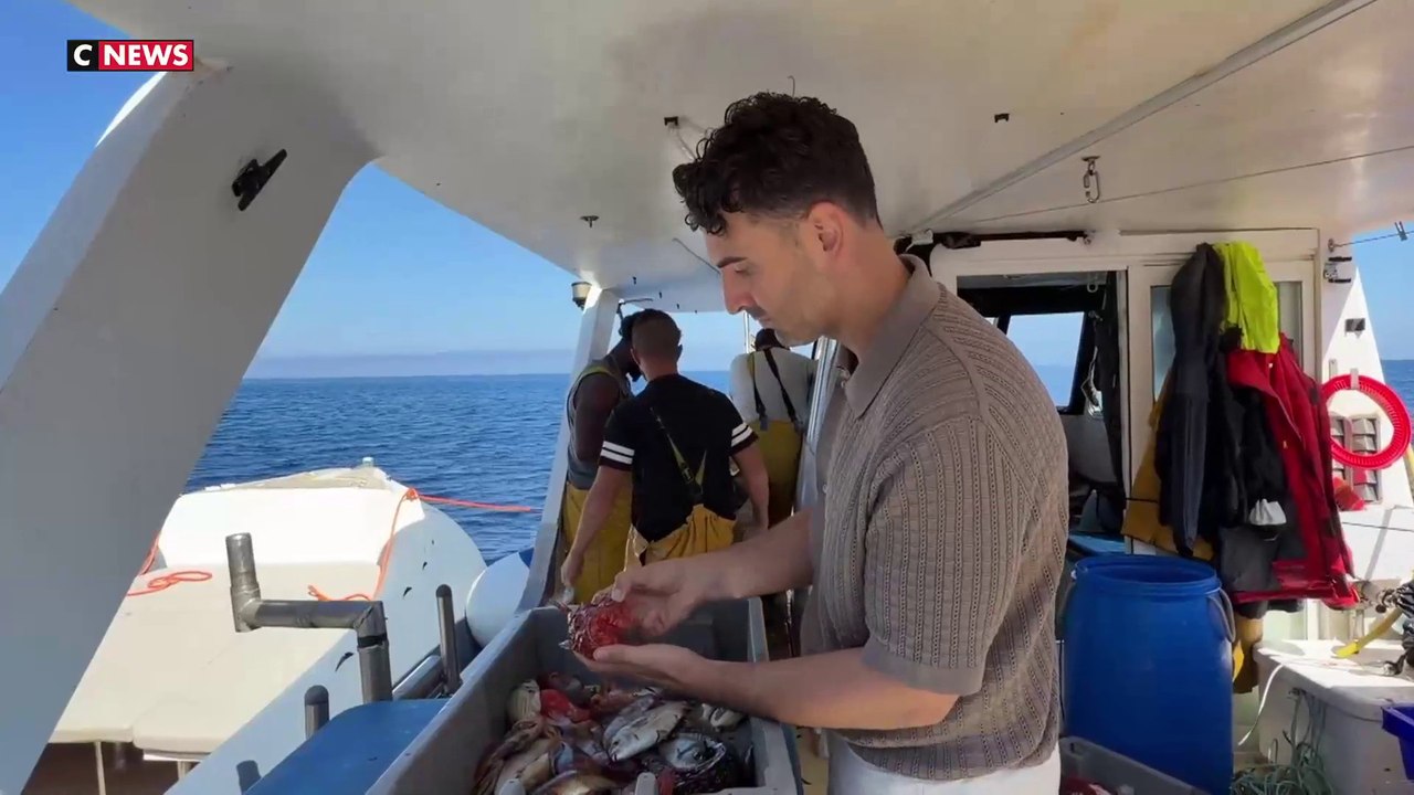 Murènes, saupes, bogues... Ces poissons de la Méditerranée oubliés dans nos assiettes