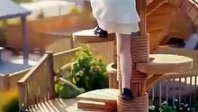 A Purr-fect Love | Full Short Drama | English Sub 2026 [Full Movie]