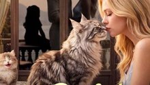 A Purr-fect Love Full EP (New Drama)
