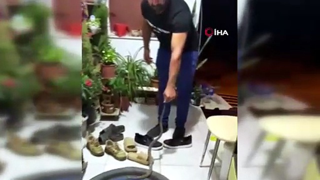 Evine giren yılanı \"Evime gelme bak, kafanı ezerim\" diyerek doğaya bıraktı