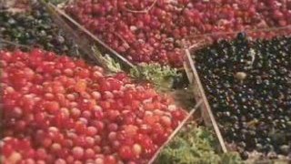 Alaska.org - Alaska Wildberry Products - Official Video